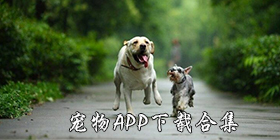 宠物app合集