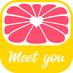 美柚 电脑版手机软件app