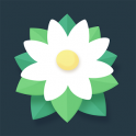 光明之息手游app