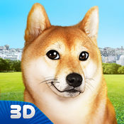 玩你的狗：芝犬手游app