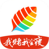 薄荷健身手机软件app