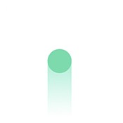 Spinpo手游app