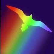 Soar：Tree of Life手游app