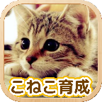 3D猫咪养成 3DM汉化版手游app