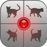 猫语翻译器手机软件app