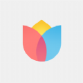 小米画报手机软件app