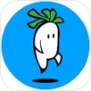 萝卜跳 中文版手游app
