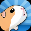 豚鼠桥手游app