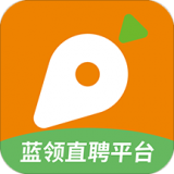 萝卜招聘手机软件app