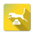闪光豹来电手机软件app