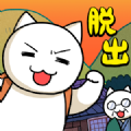 猫与秘密宝藏手游app