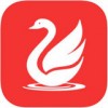 天鹅购手机软件app