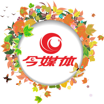 今媒体手机软件app
