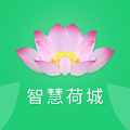 智慧荷城手机软件app