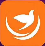 喜鹊网手机软件app