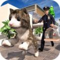 非常宠物猫模拟器手游app