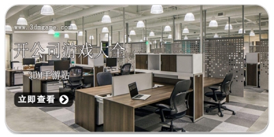 开公司游戏大全