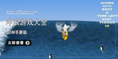 冲浪游戏大全