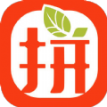 拼券手机软件app