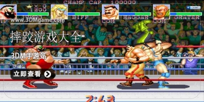 摔跤游戏大全
