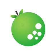 轻果小说 免费版手机软件app