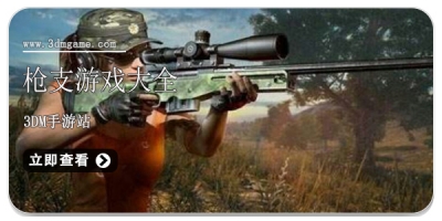 枪支游戏大全