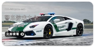 警车游戏大全