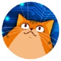 当机器人爱上猫手游app