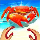 舌尖上的赶海手游app