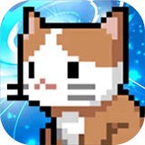 塔塔塔塔塔防手游app