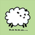 三合一收款码手机软件app