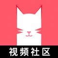 猫咪视频 最新地域网名入口手机软件app