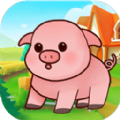 天天养金猪 最新版手游app