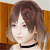 重启生涯 安卓汉化版v2.2手游app