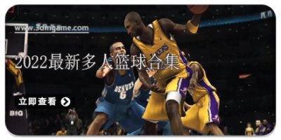 2022最新多人篮球合集