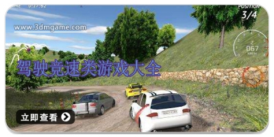 驾驶竞速类游戏大全