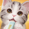 我和我的猫手游app