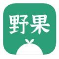 野果阅读 无广告版手机软件app