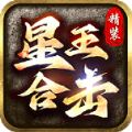 精装星王合击手游app