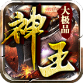 神王大极品手游app
