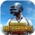METROROYALE地铁逃生 2.8版本手游app