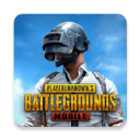 地铁逃生pubg 亚服手游app