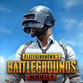 pubg绝地求生 苹果版手游app