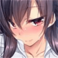 1room 1.23安卓汉化版下载手游app