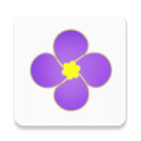 紫金草视频手机软件app