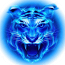 四hu影视 最新版