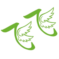 飞飞影视 下载最新版手机软件app