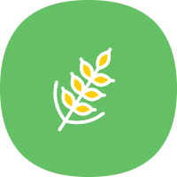麦子下载 免登录版手机软件app