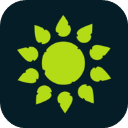 wilderless 探索小游戏手游app