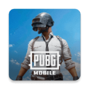 pubg地铁逃生国际服手游app